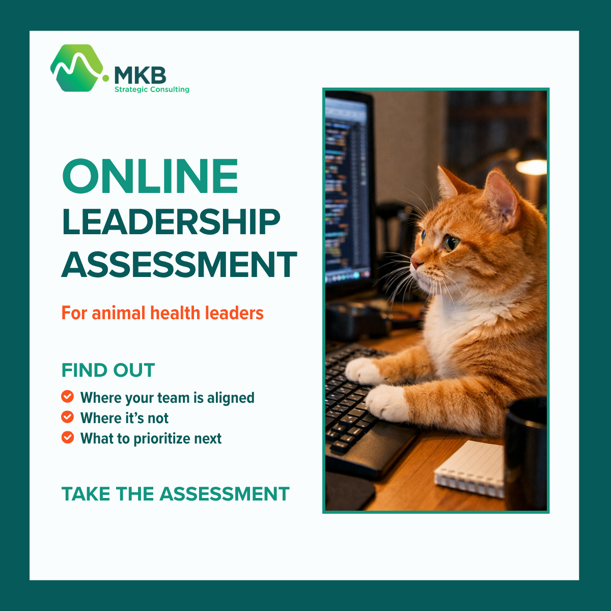 Leadership Assessment Thumbnail