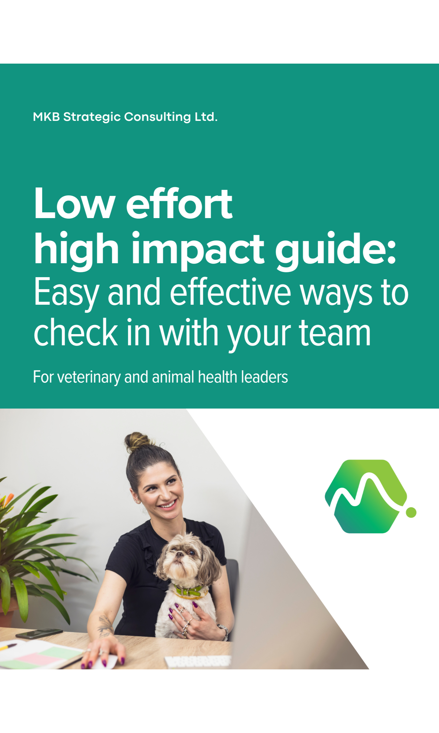 MKB Lead Magnet-Team Checkins-1