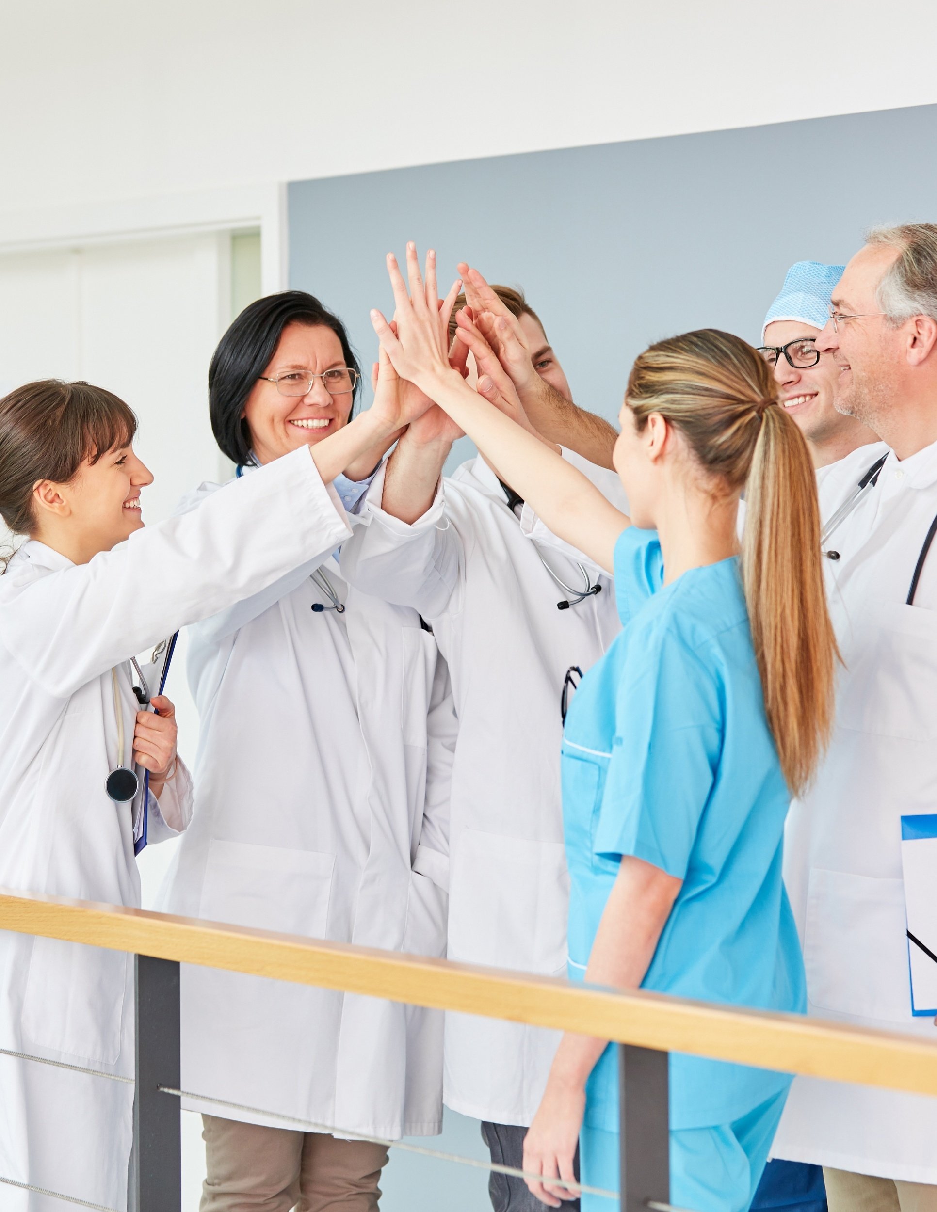 Veterinary Team Work